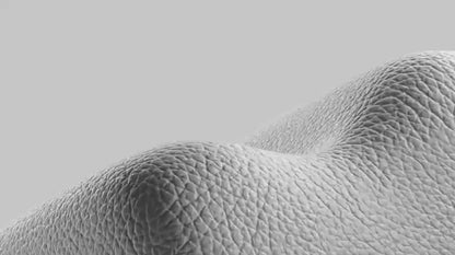 Telesin Magnetische Smartphone Handgreep